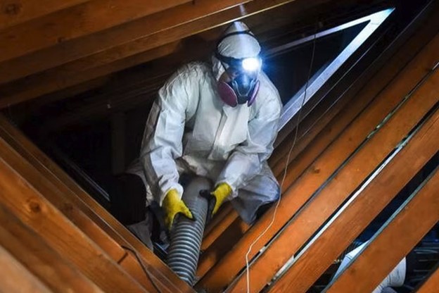 Naperville Attic Mold Removal Services Explained Simply