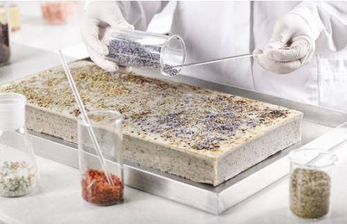 Essential Factors to Consider When Selecting Mold Testing Services