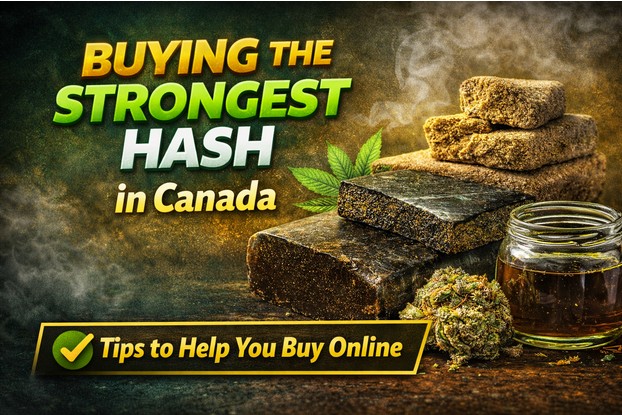 These Tips Will Help You Buy The Strongest Hash in Canada