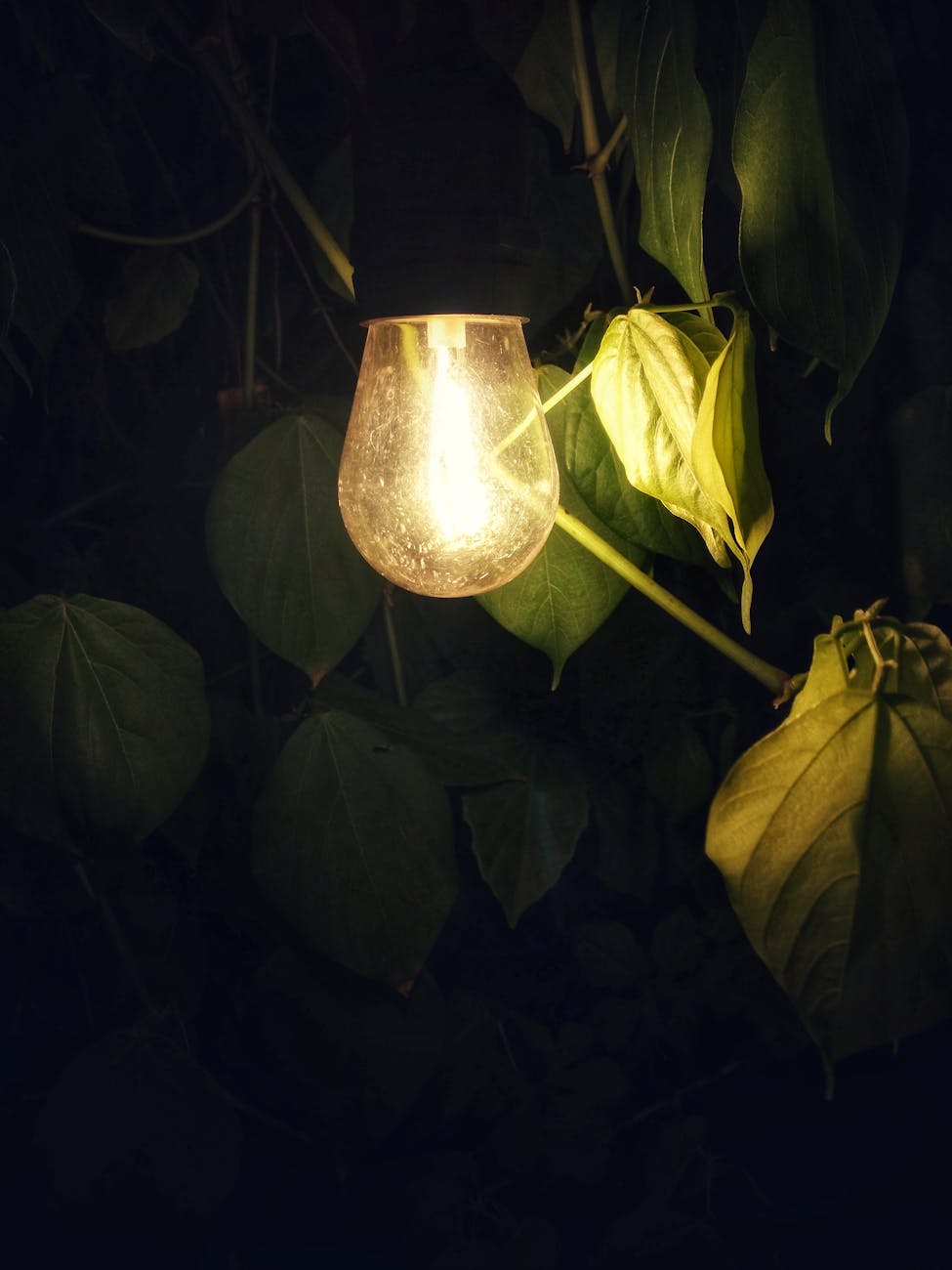 What Lamps Are Best for Working at a Desk? What Lamps Are Best for Working at a Desk?