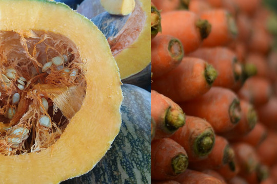 The Art of Vibrant Cooking with Natural Orange and Yellow Shades