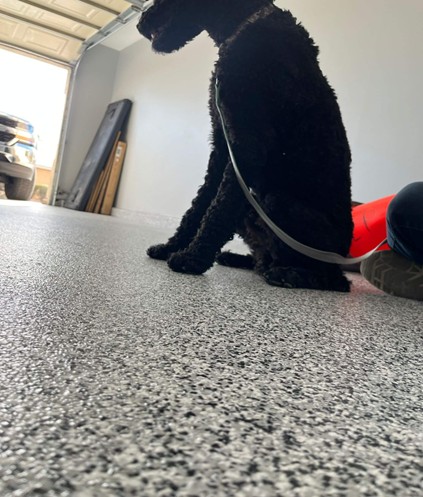 Sleek, Durable Surfaces for Modern Las Vegas Interiors