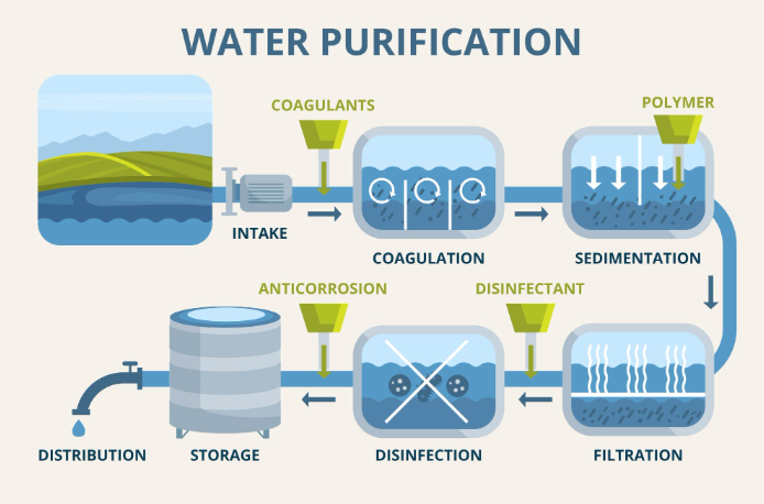 Understanding Home Water Choices Beyond Basic Filtration Systems