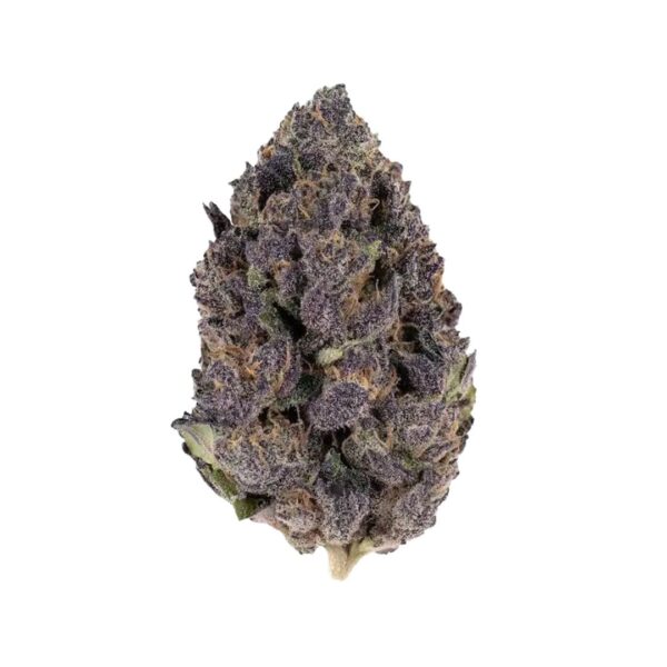 Best Places to Buy Weed Seeds Online in 2026 – Top Tips for Quality Cannabis Genetics