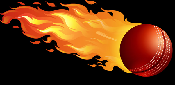 Cricbet99 platform checks that users should review first