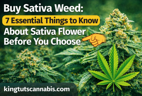 Buy Sativa Weed: 7 Essential Things to Know About Sativa Flower Before You Choose