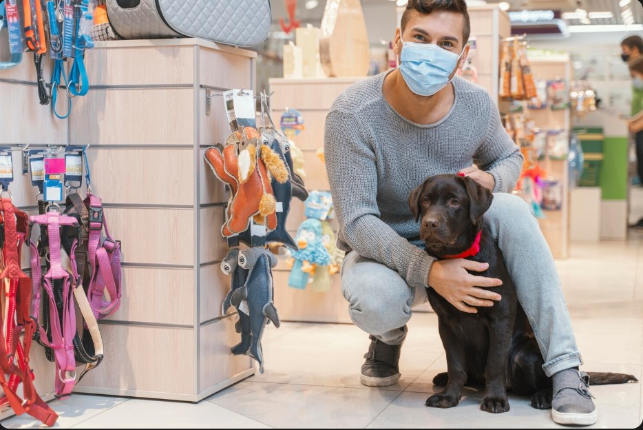 10 Dog Products That Instantly Upgrade Your Dog’s Life 10 Dog Products That Instantly Upgrade Your Dog’s Life