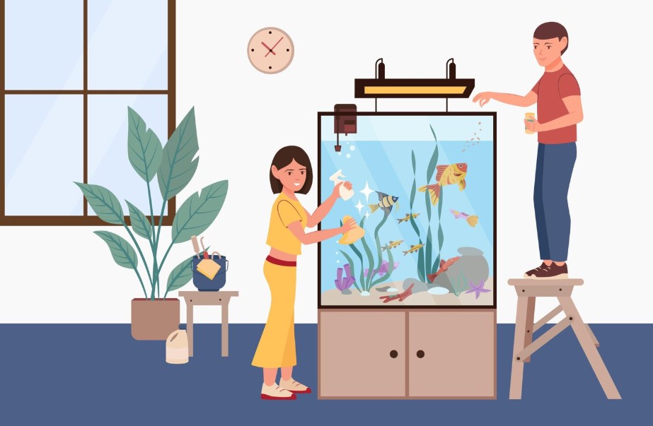 Safe Cleaning: How to Clean Your Aquarium Without Hurting Your Fish