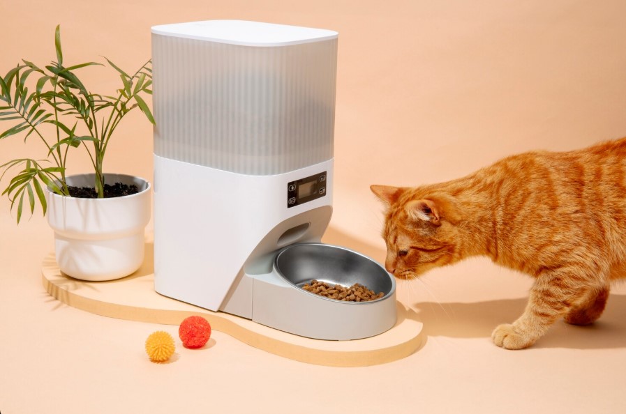 Smart Cat Feeders Explained: How Automatic Cat Feeders Make Feeding Easier for Pet Parents