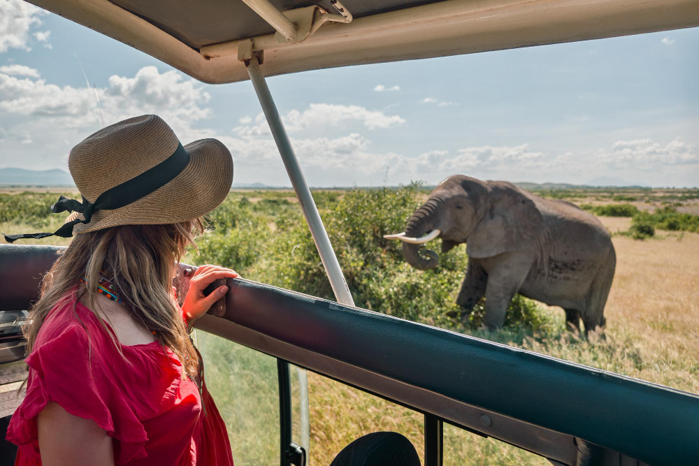 Luxury Safari in East Africa: Kenya, Uganda & Tanzania