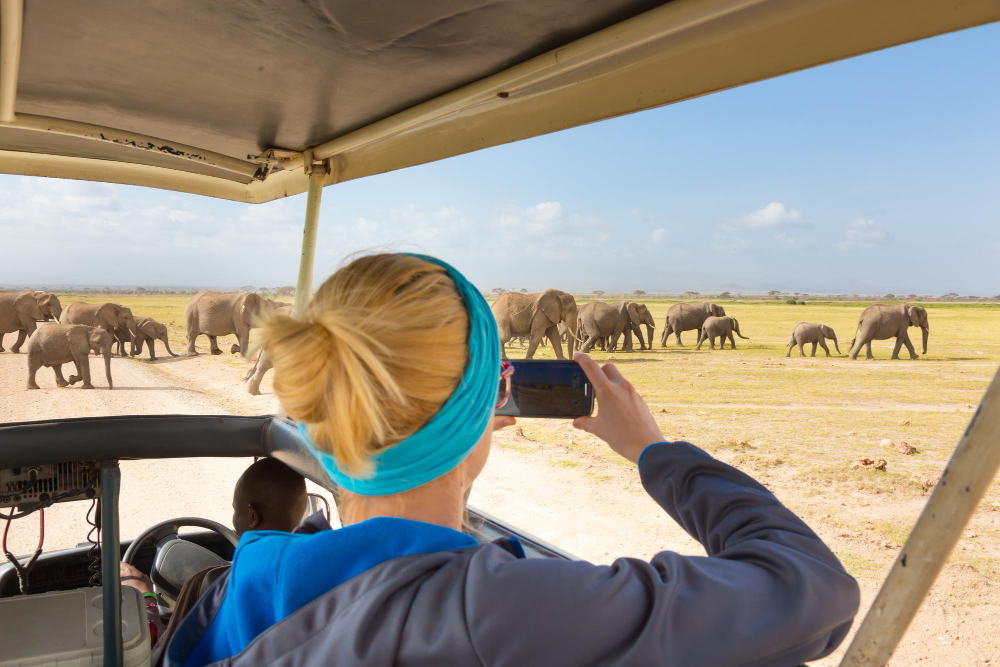 Masai Mara Travel Packages Compared by Price and Itinerary
