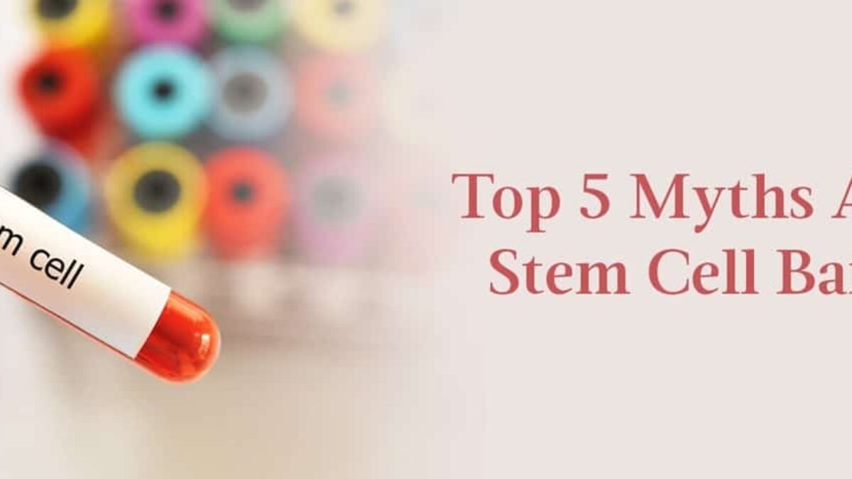 Top Myths About Stem Cell Banking Every Parent Should Know Top Myths About Stem Cell Banking Every Parent Should Know