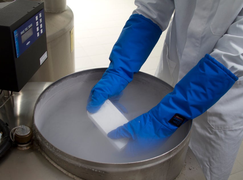 Safety Standards and Cryopreservation in Modern Stem Cell Banks