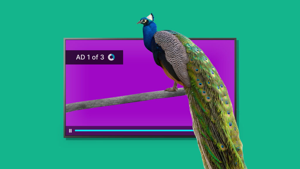 Does Peacock Have Ads? What Viewers and Advertisers Should Know