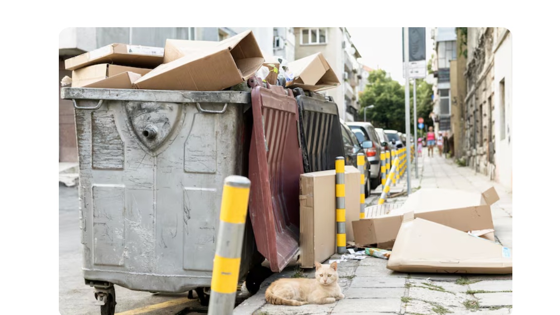Smart Cleanup Solutions: A Homeowner’s Guide to Efficient Waste Management Smart Cleanup Solutions: A Homeowner’s Guide to Efficient Waste Management