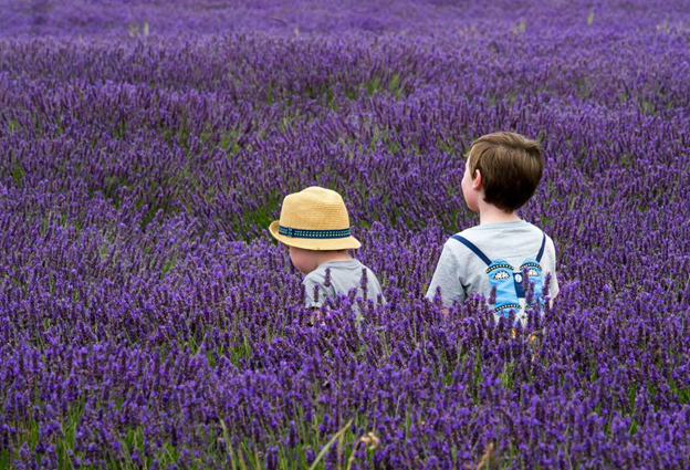 Inner Child Therapy Dubai and regression therapy Dubai simple terms