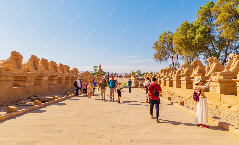 Marrakech Excursions: Discover the Best Day Trips and Adventures