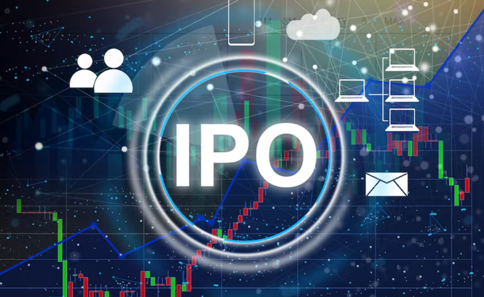 IPO Investment Patterns and Market Performance Insights IPO Investment Patterns and Market Performance Insights