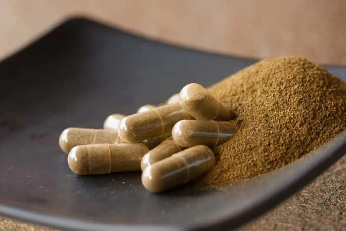Most Trusted Kratom Vendors of 2025 Offering Lab-Tested Products - Botanical Remedies LLC