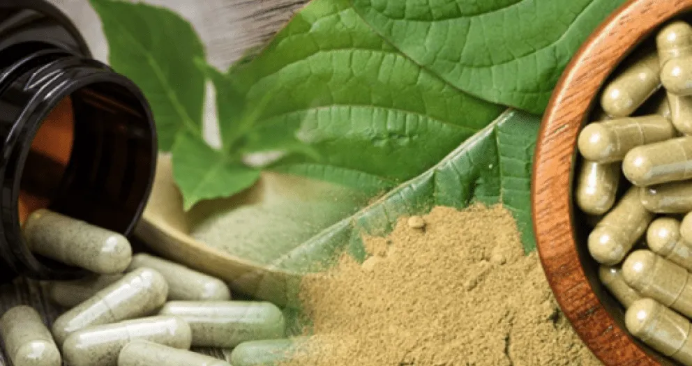 Kratom Capsules Variety Pack: Comparing Effects Before Buying in Bulk - Botanical  Remedies LLC