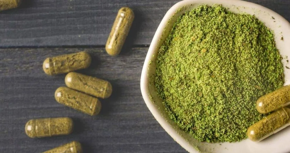Exploring Red Kalimantan Kratom: A Bold Choice for Relaxation | Botanical  Remedies LLC