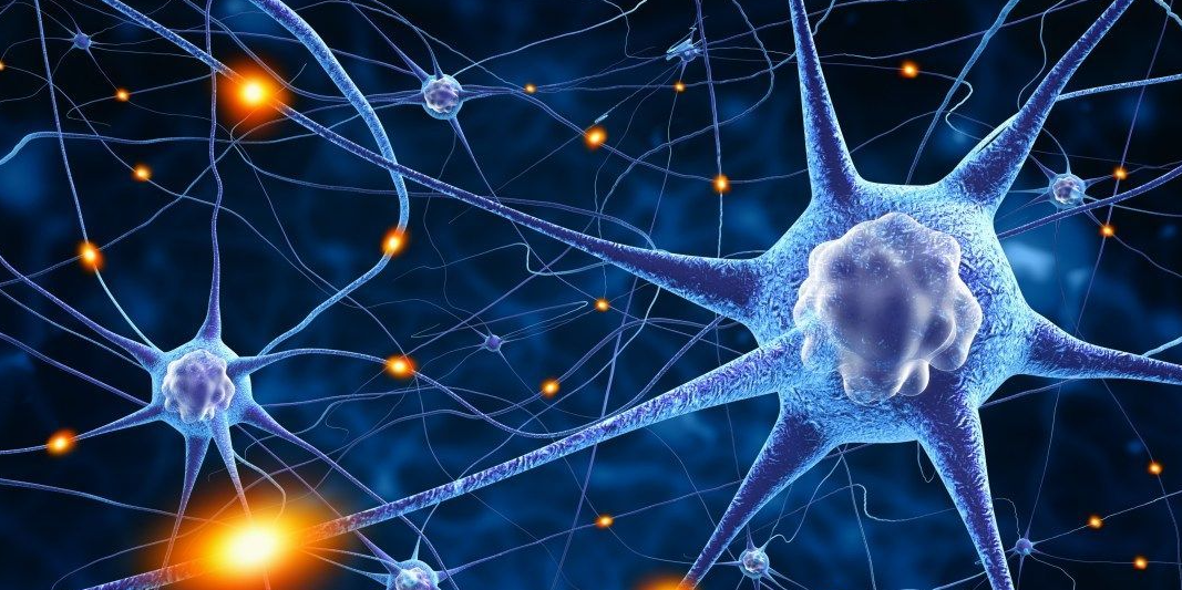 Understanding the AI multi-omics foundation model and its relevance for European biomedical research