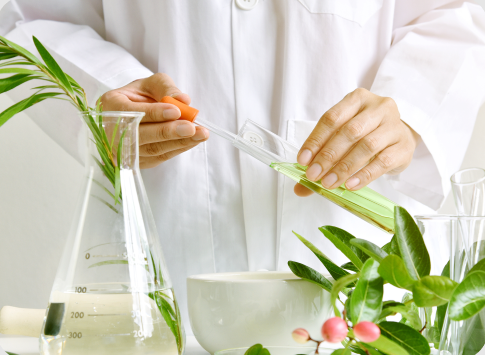 Restorasleep and anxioguard for daily calmness and sleep routine support