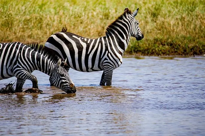 C:UsersUSERDownloads275.jpg (1).jpeg