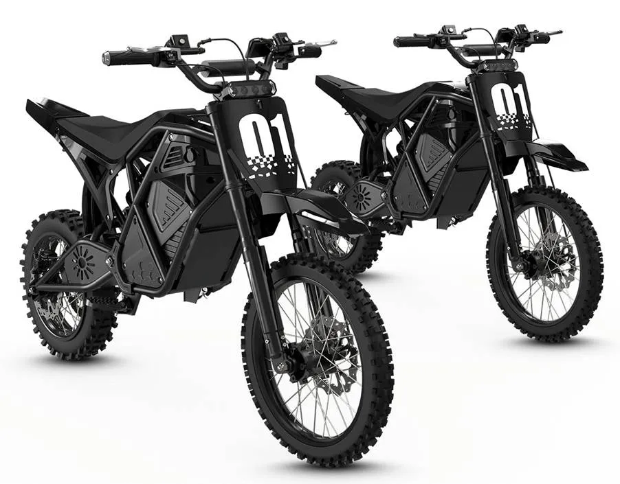 electric trike bike