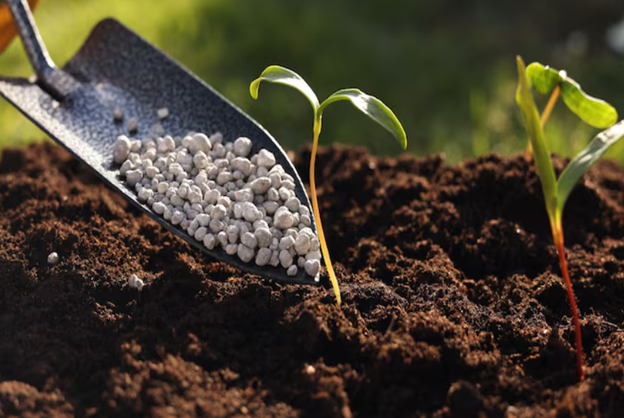 International fertilizer traders working with limestone suppliers in Egypt for sourcing needs