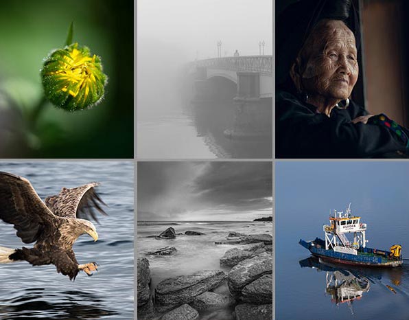 Vad är en fotokurs distans och hur fungerar den?