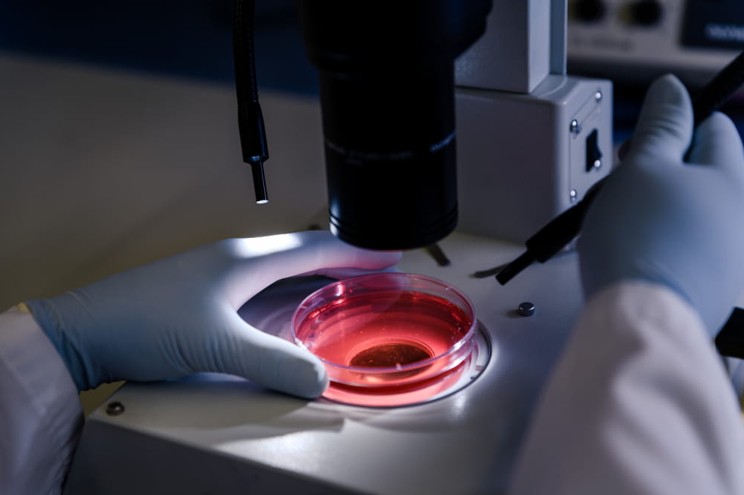 Cell Cytometry: The Science of Understanding Cells, One Detail at a Time