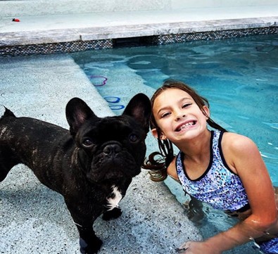 Frenchie for Adoption Searches That Lead to Better Rescue Decisions Frenchie for Adoption Searches That Lead to Better Rescue Decisions