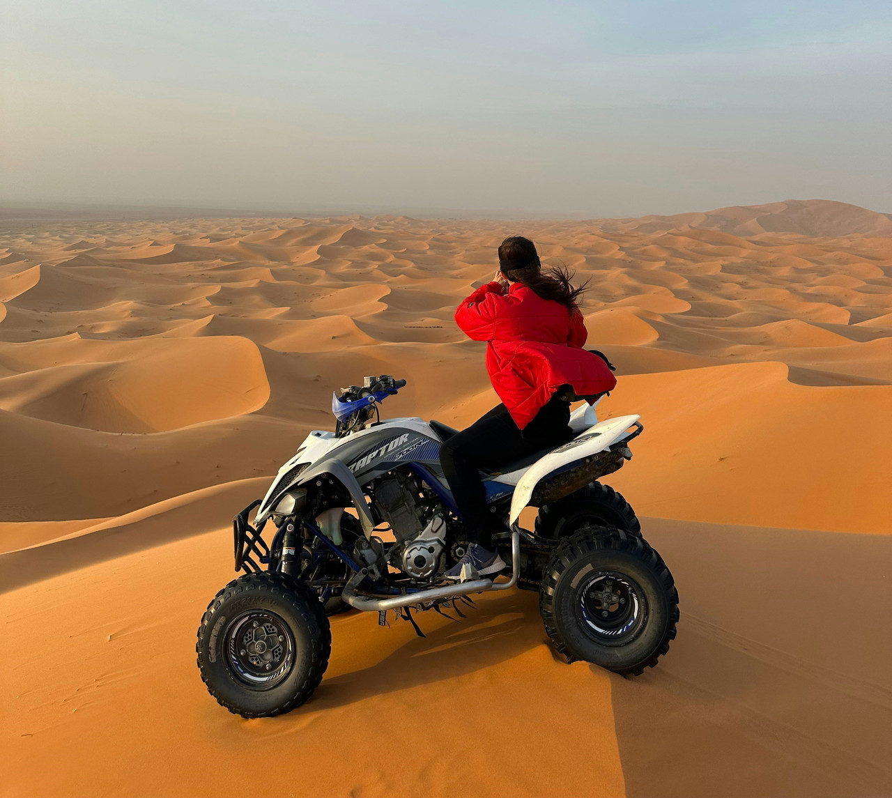 Why Abu Dhabi Desert Safaris Offer a Different Kind of Desert Experience in the UAE Why Abu Dhabi Desert Safaris Offer a Different Kind of Desert Experience in the UAE