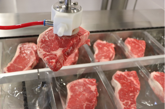 Next-Generation Pick and Place Packaging with Smart Robotic Handling Next-Generation Pick and Place Packaging with Smart Robotic Handling