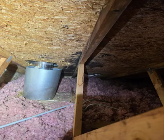 Dependable Attic Mold Removal and Restoration Arlington Heights