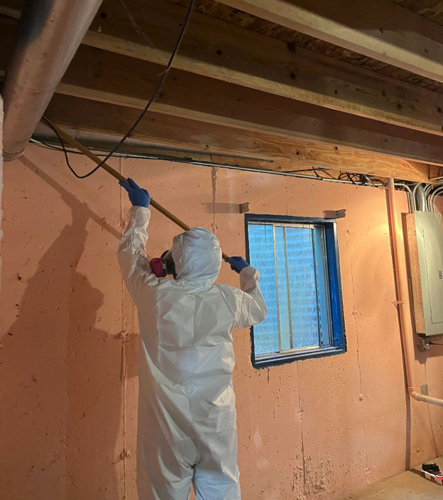 Certified Mold Removal Specialists Serving Arlington Heights Residents Certified Mold Removal Specialists Serving Arlington Heights Residents