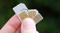 The Growing Importance of TM SIM Registration in the Digital Age