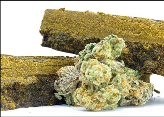 Best Hash MOM Canada: Where to Buy Hash Online in Canada Safely in 2026