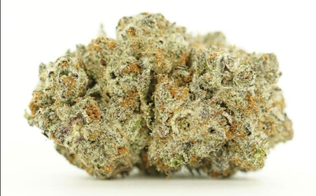 The Benefits of Choosing Sativa Weed: Tips for Your Next Purchase