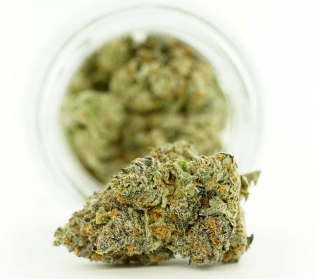 The Benefits of Purchasing Indica Online: Convenience and Quality Explained