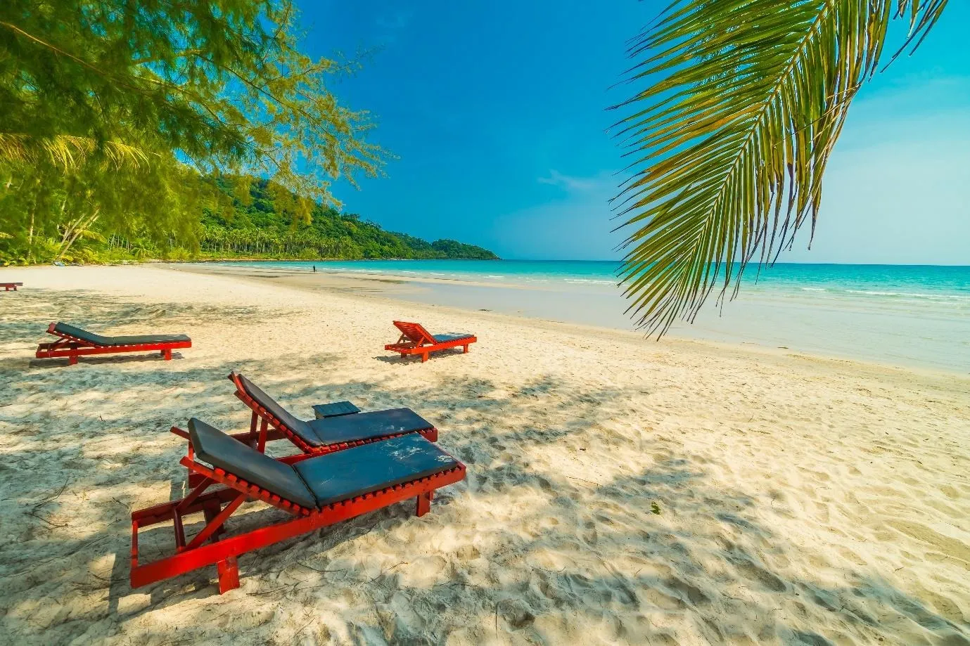 C:UsersUSERDownloadsbeautiful-nature-tropical-beach.jpg