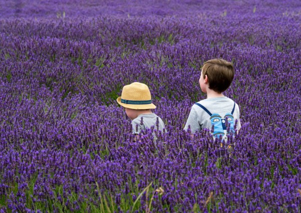 Inner Child Therapy Dubai Sessions for Emotional Growth Support