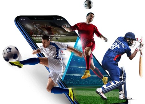 Cricbet99 sports betting and Cricbet99 green for smoother browsing online