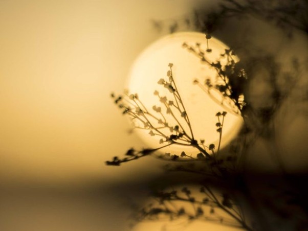 Hur du fotograferar vackra reflektioner i spegelblanka insjöar