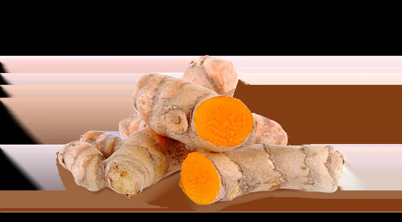 FoodRGB Turmeric powder natural color solution for yellow and orange showing Turmeric root 