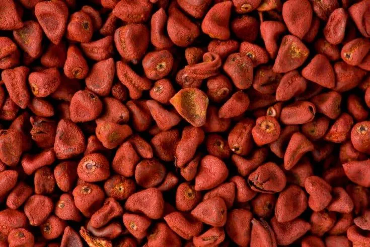This may contain: a pile of red rocks with rust on them