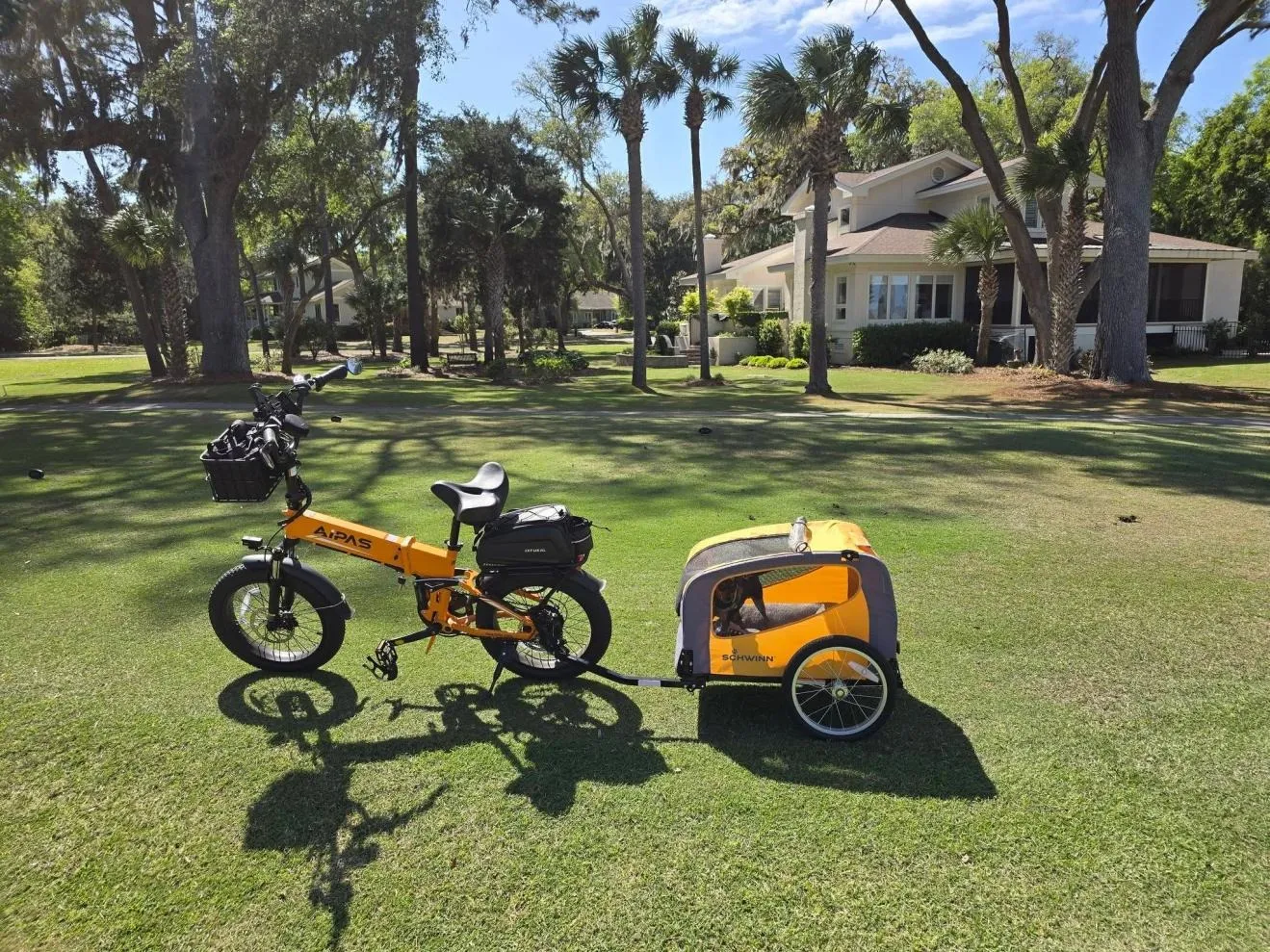 Aipas folding ebike (2)