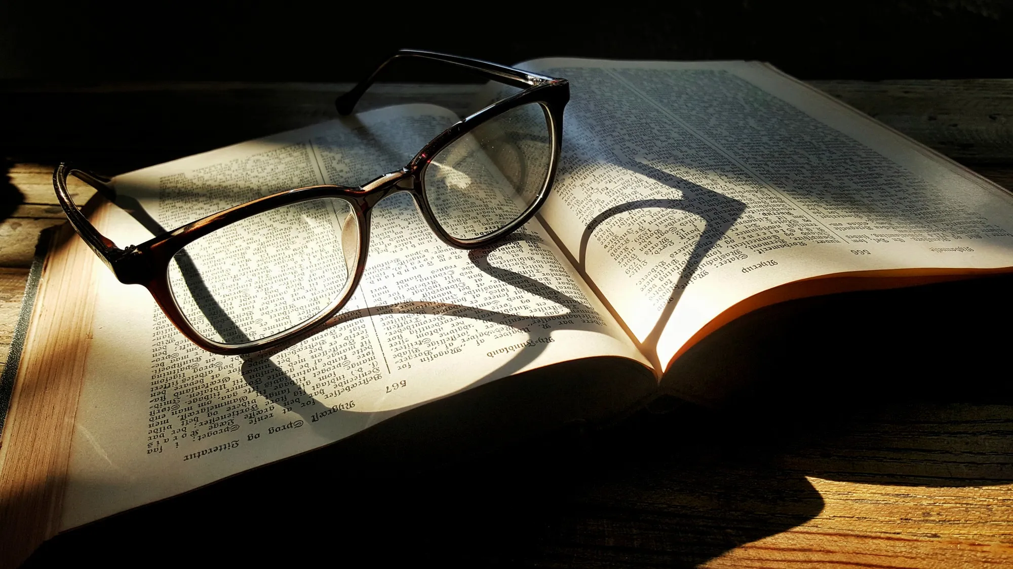 Literature vs Language and Literature: Your IB English Choice