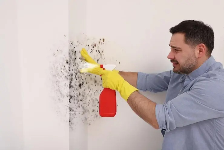 Simple Home Upgrades That Can Improve Comfort and Daily Convenience Simple Home Upgrades That Can Improve Comfort and Daily Convenience